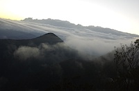 above_the_clouds.jpg