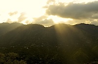 blue_mountains-thumb.jpg