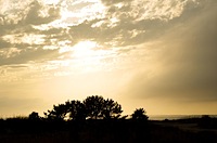 coastline-thumb.jpg