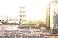 hdr_roof-thumb.jpg