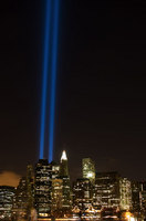 tribute_in_light.jpg